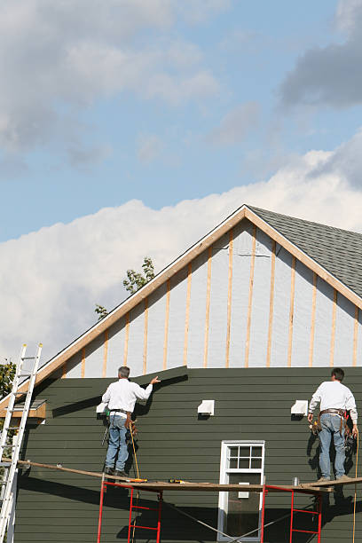 Best Steel Siding Installation  in Denver, NC