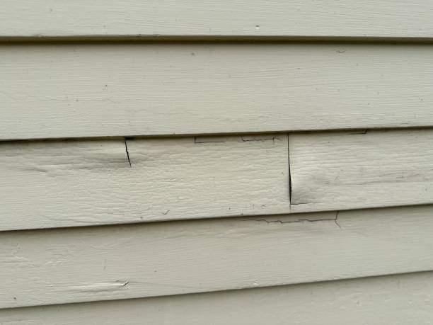 Best Engineered Wood Siding  in Denver, NC